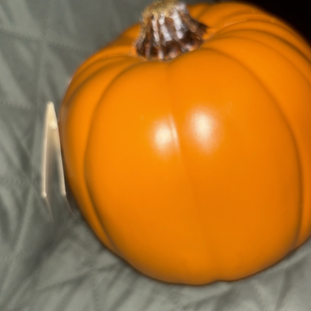 Ashland pumpkin for decor craft pumpkin 6.5” no fuss no mess use every year